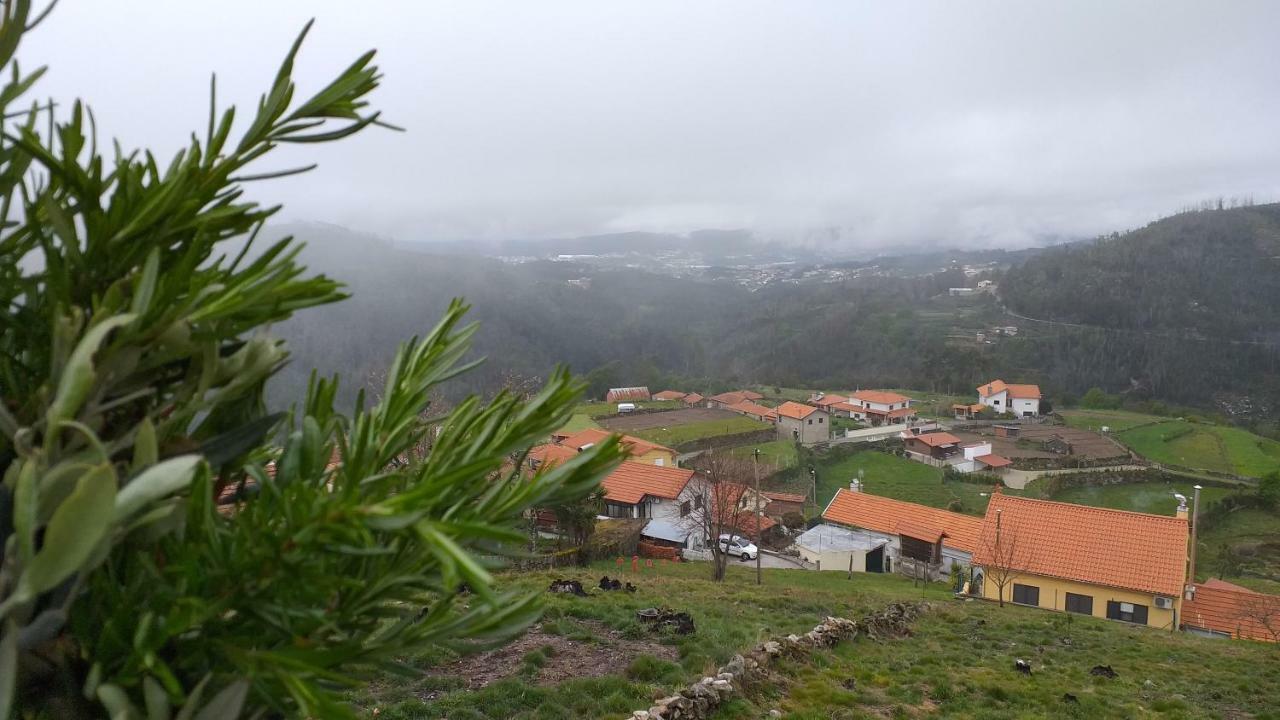 Casa da Boa Vista em Viadal Vale de Cambra Exterior foto